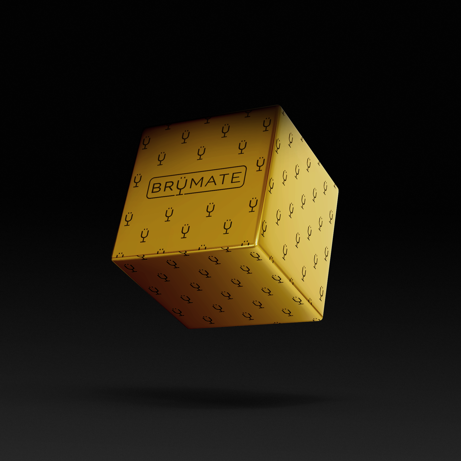 premium-mystery-item-39-70-value-o6 IMG-1548.png
